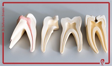 تأثیر بیومواد نوین در موفقیت درمان‌های ریشه (مثل MTA و بیوسیمنت‌ها)